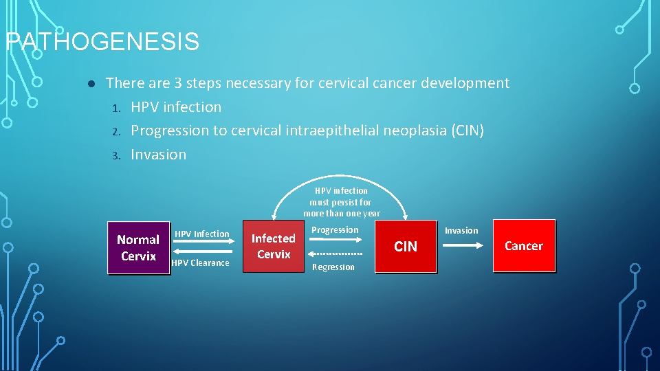 PATHOGENESIS l There are 3 steps necessary for cervical cancer development 1. HPV infection