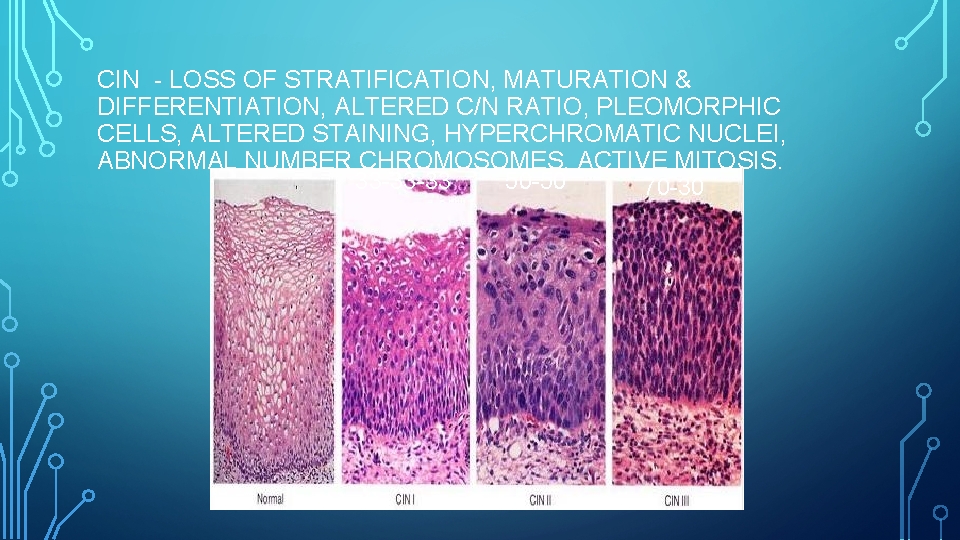 CIN - LOSS OF STRATIFICATION, MATURATION & DIFFERENTIATION, ALTERED C/N RATIO, PLEOMORPHIC CELLS, ALTERED