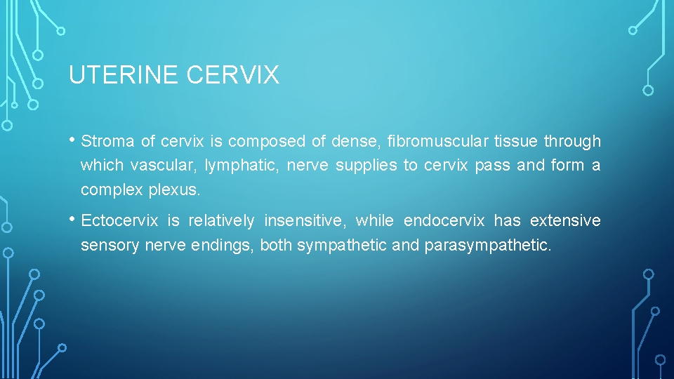 UTERINE CERVIX • Stroma of cervix is composed of dense, fibromuscular tissue through which