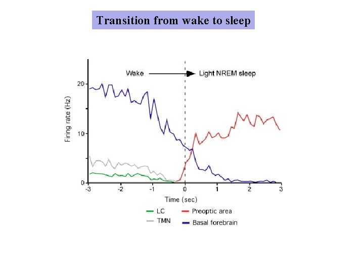 Transition from wake to sleep 