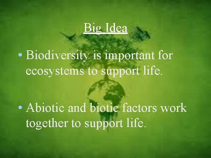 Big Idea • Biodiversity is important for ecosystems to support life. • Abiotic and