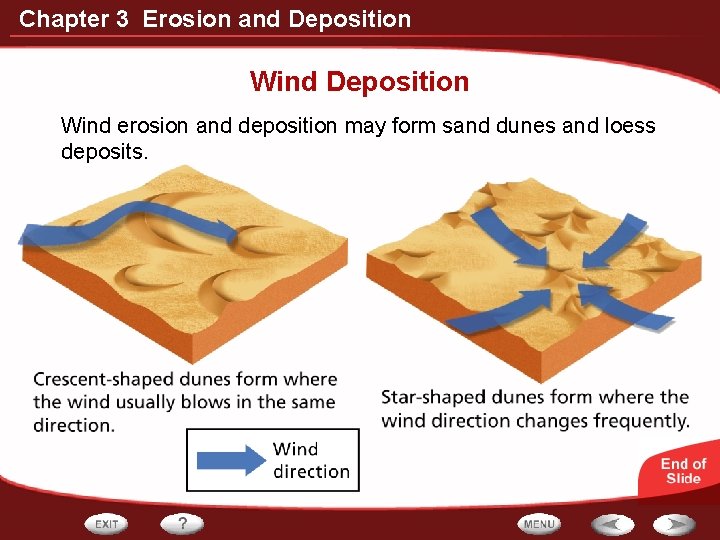 Chapter 3 Erosion and Deposition Wind erosion and deposition may form sand dunes and