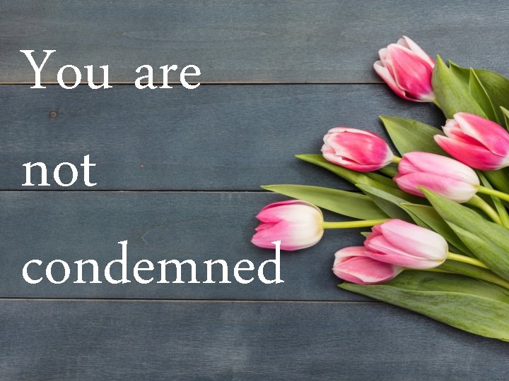 You are not condemned 