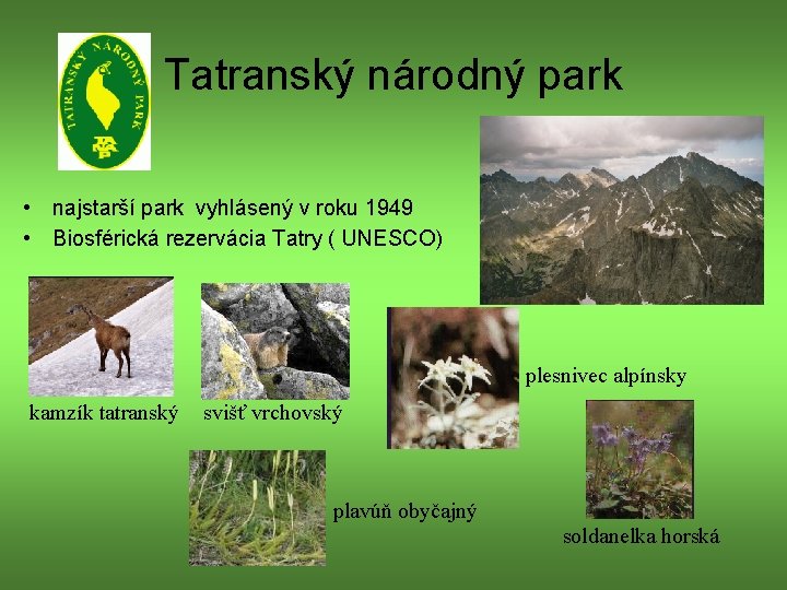 Tatranský národný park • najstarší park vyhlásený v roku 1949 • Biosférická rezervácia Tatry