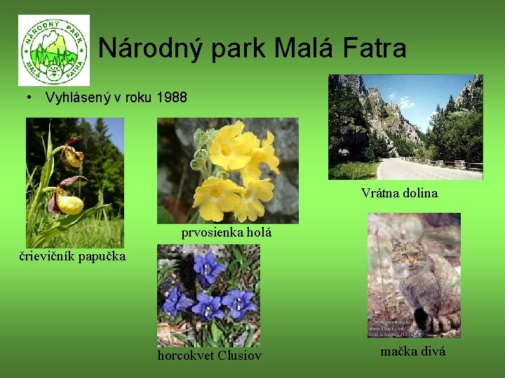 Národný park Malá Fatra • Vyhlásený v roku 1988 Vrátna dolina prvosienka holá črievičník
