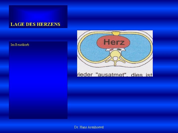 LAGE DES HERZENS Im Brustkorb Dr. Hans Arenhoevel 