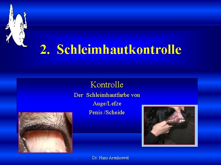 2. Schleimhautkontrolle Kontrolle Der Schleimhautfarbe von Auge/Lefze Penis /Scheide Dr. Hans Arenhoevel 