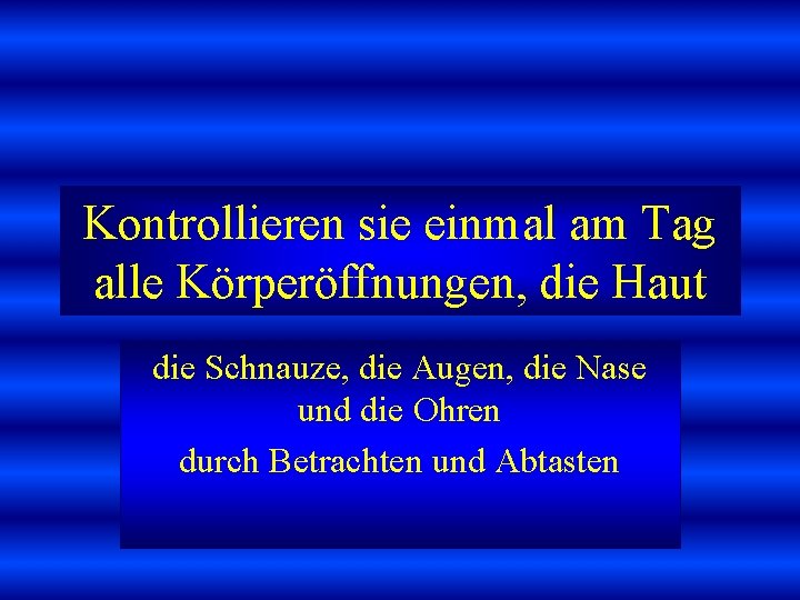 Kontrollieren sie einmal am Tag alle Körperöffnungen, die Haut die Schnauze, die Augen, die