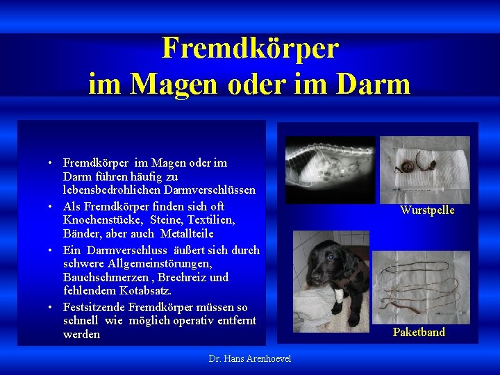 Fremdkörper im Magen oder im Darm • Fremdkörper im Magen oder im Darm führen