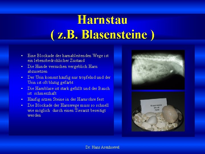 Harnstau ( z. B. Blasensteine ) • • • Eine Blockade der harnableitenden Wege