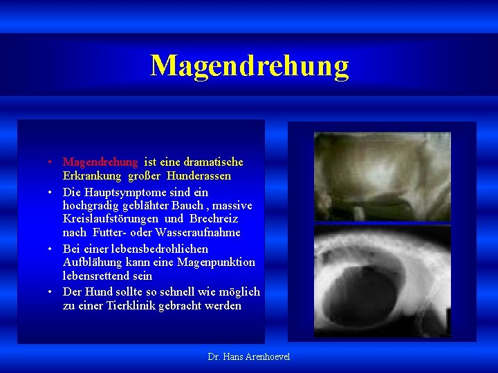 Magendrehung • Magendrehung ist eine dramatische Erkrankung großer Hunderassen • Die Hauptsymptome sind ein