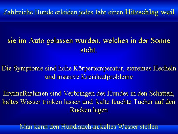 Zahlreiche Hunde erleiden jedes Jahr einen Hitzschlag weil sie im Auto gelassen wurden, welches