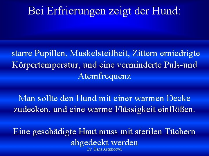 Bei Erfrierungen zeigt der Hund: starre Pupillen, Muskelsteifheit, Zittern erniedrigte Körpertemperatur, und eine verminderte