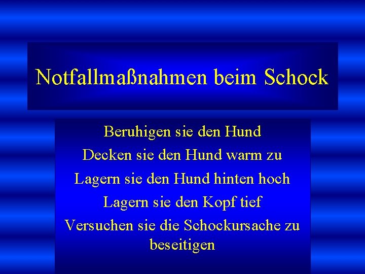 Notfallmaßnahmen beim Schock Beruhigen sie den Hund Decken sie den Hund warm zu Lagern