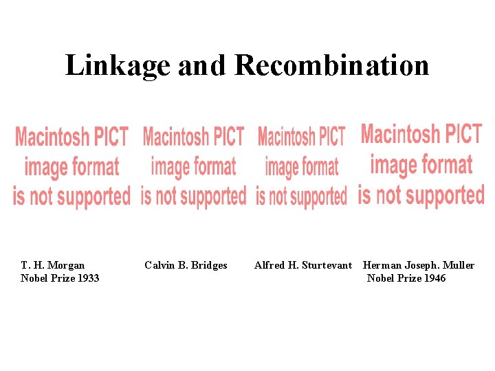 Linkage and Recombination T. H. Morgan Nobel Prize 1933 Calvin B. Bridges Alfred H.