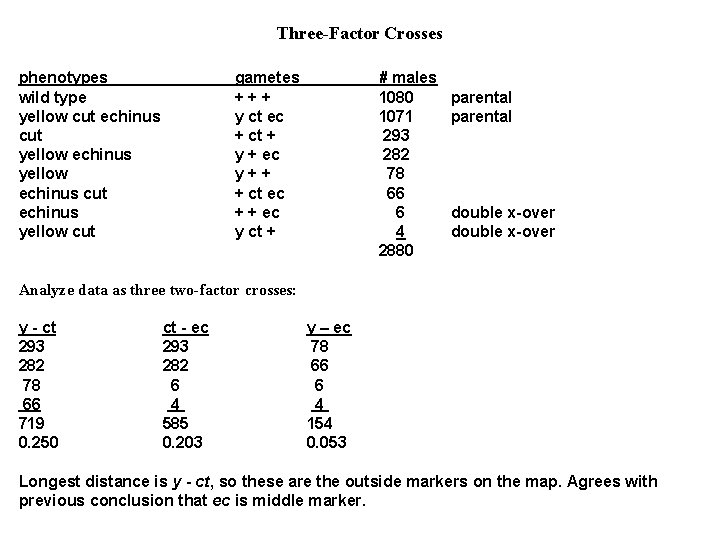 Three-Factor Crosses phenotypes wild type yellow cut echinus cut yellow echinus cut echinus yellow