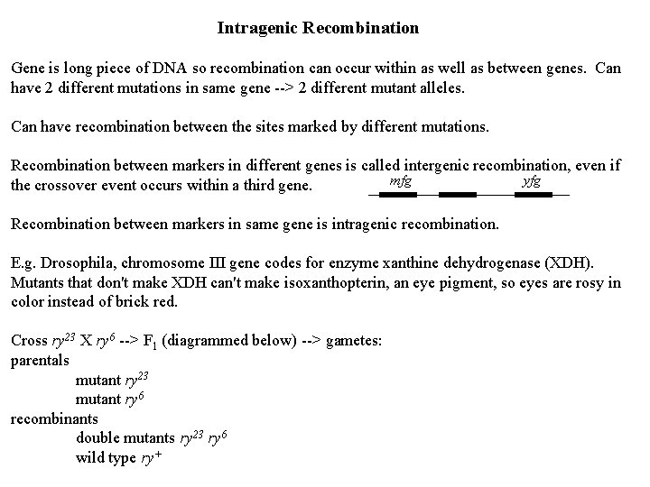 Intragenic Recombination Gene is long piece of DNA so recombination can occur within as