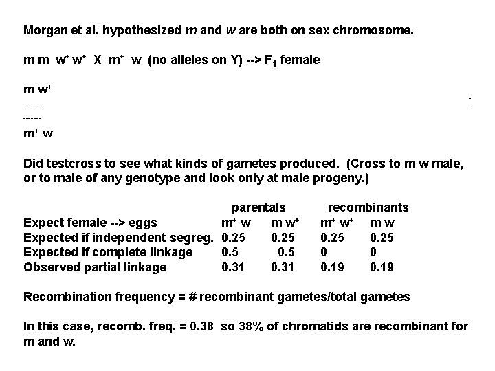 Morgan et al. hypothesized m and w are both on sex chromosome. m m