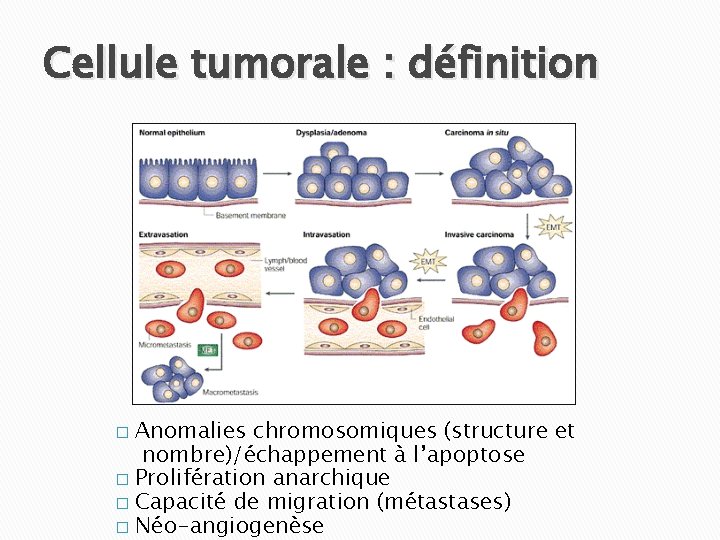 Cellule tumorale : définition Anomalies chromosomiques (structure et nombre)/échappement à l’apoptose � Prolifération anarchique