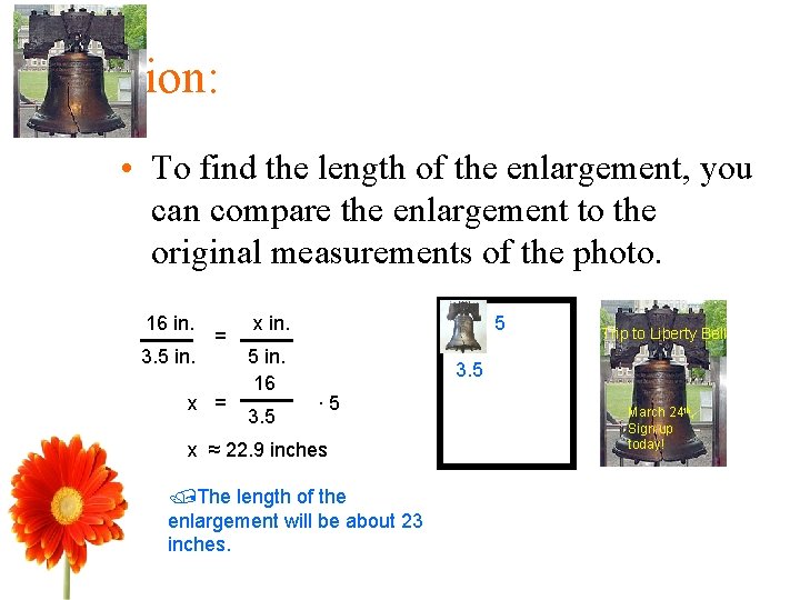 Solution: • To find the length of the enlargement, you can compare the enlargement