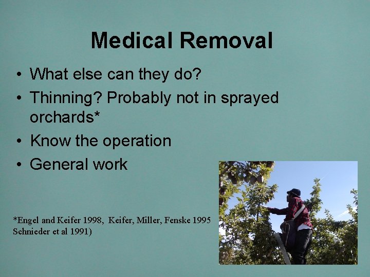 Medical Removal • What else can they do? • Thinning? Probably not in sprayed