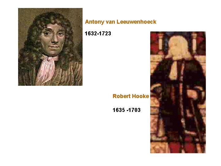 Antony van Leeuwenhoeck 1632 -1723 Robert Hooke 1635 -1703 