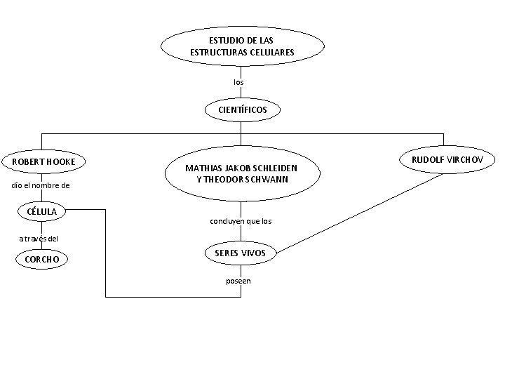 ESTUDIO DE LAS ESTRUCTURAS CELULARES los CIENTÍFICOS ROBERT HOOKE dio el nombre de CÉLULA