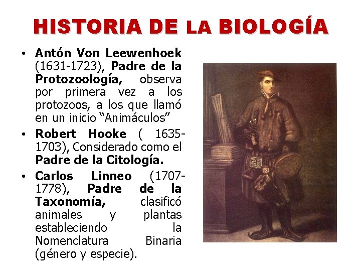 HISTORIA DE LA BIOLOGÍA • Antón Von Leewenhoek (1631 -1723), Padre de la Protozoología,