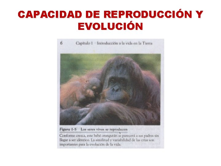 CAPACIDAD DE REPRODUCCIÓN Y EVOLUCIÓN 