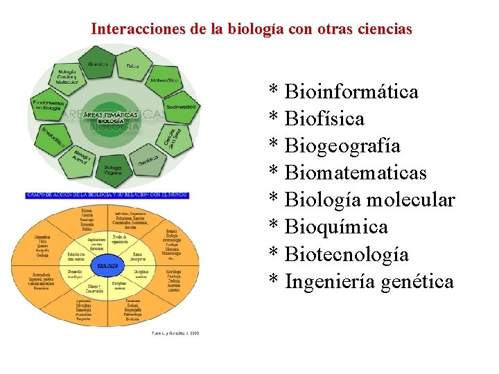 Interacciones de la biología con otras ciencias * Bioinformática * Biofísica * Biogeografía *