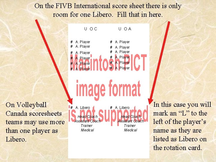 On the FIVB International score sheet there is only room for one Libero. Fill