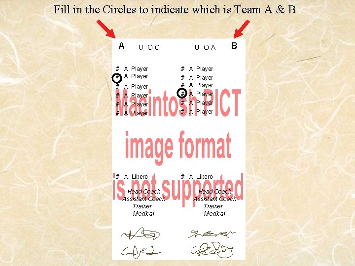 Fill in the Circles to indicate which is Team A & B A U