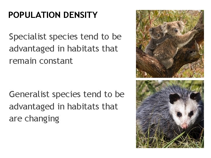 POPULATION DENSITY Specialist species tend to be advantaged in habitats that remain constant Generalist