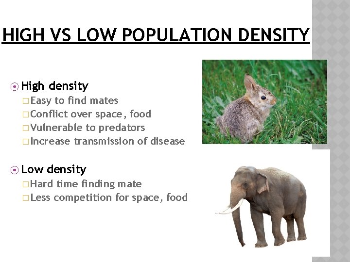 HIGH VS LOW POPULATION DENSITY ⦿ High density � Easy to find mates �