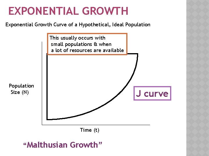 EXPONENTIAL GROWTH Exponential Growth Curve of a Hypothetical, Ideal Population This usually occurs with