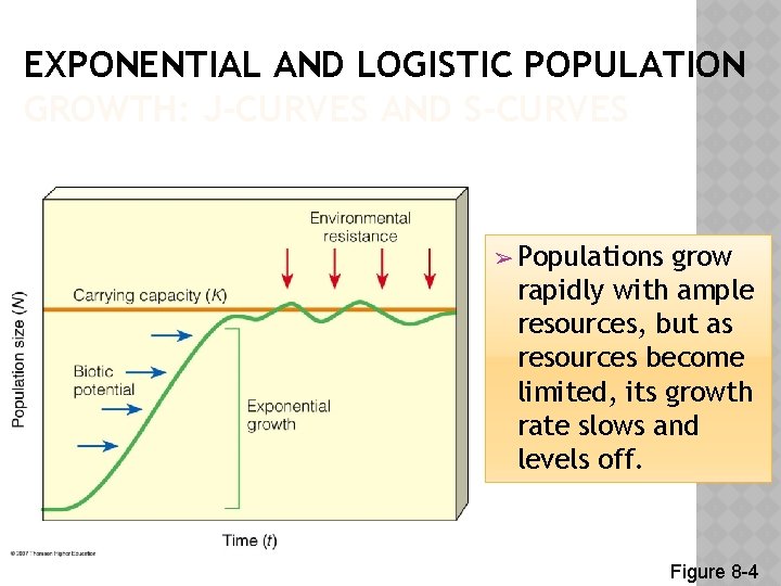 EXPONENTIAL AND LOGISTIC POPULATION GROWTH: J-CURVES AND S-CURVES ➢ Populations grow rapidly with ample