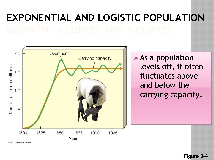 EXPONENTIAL AND LOGISTIC POPULATION GROWTH: J-CURVES AND S-CURVES ➢ As a population levels off,