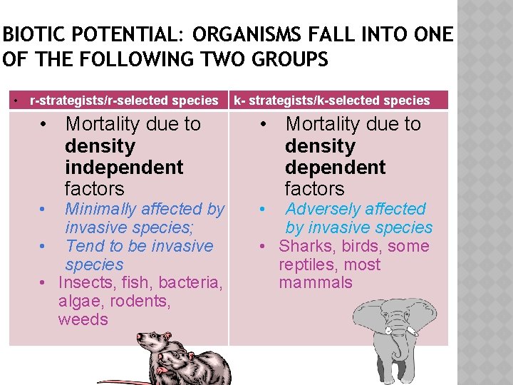 BIOTIC POTENTIAL: ORGANISMS FALL INTO ONE OF THE FOLLOWING TWO GROUPS • r-strategists/r-selected species
