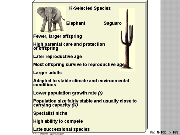 K-Selected Species Elephant Saguaro Fewer, larger offspring High parental care and protection of offspring