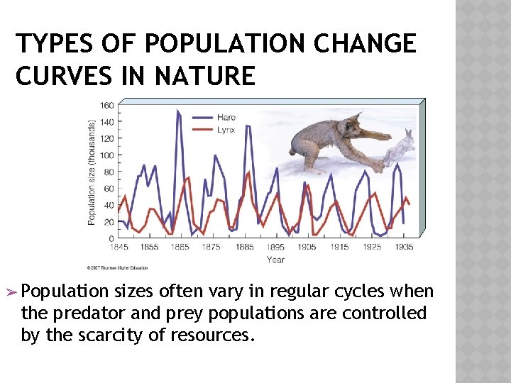TYPES OF POPULATION CHANGE CURVES IN NATURE ➢ Population sizes often vary in regular