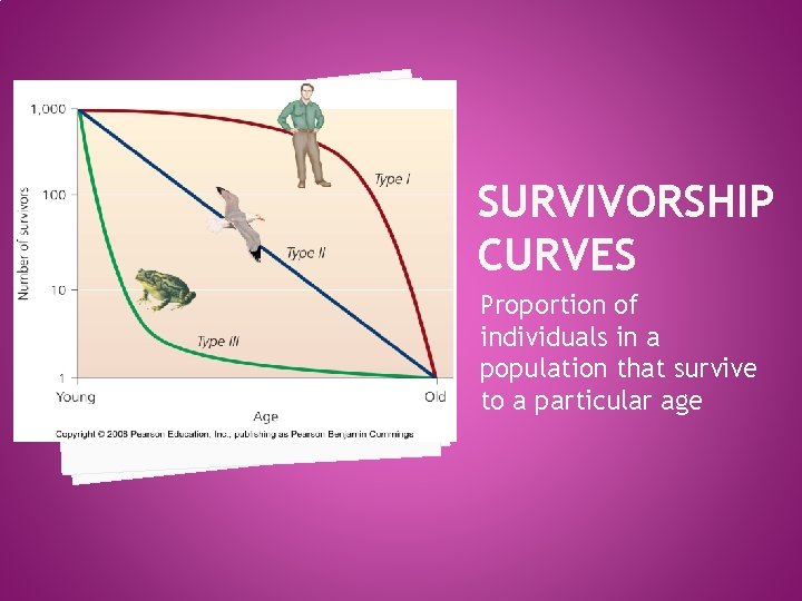 SURVIVORSHIP CURVES Proportion of individuals in a population that survive to a particular age