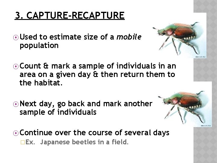 3. CAPTURE-RECAPTURE ⦿ Used to estimate size of a mobile population ⦿ Count &