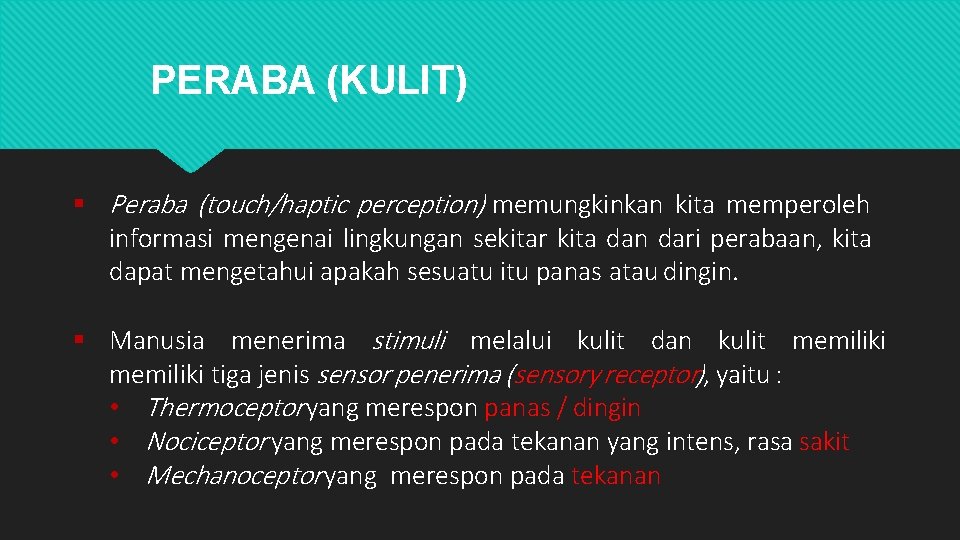 PERABA (KULIT) Peraba (touch/haptic perception) memungkinkan kita memperoleh informasi mengenai lingkungan sekitar kita dan