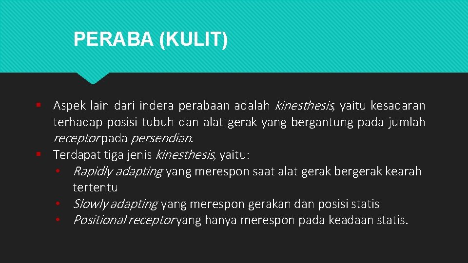 PERABA (KULIT) Aspek lain dari indera perabaan adalah kinesthesis, yaitu kesadaran terhadap posisi tubuh