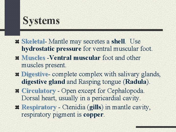 Systems Skeletal Mantle may secretes a shell. Use hydrostatic pressure for ventral muscular foot.