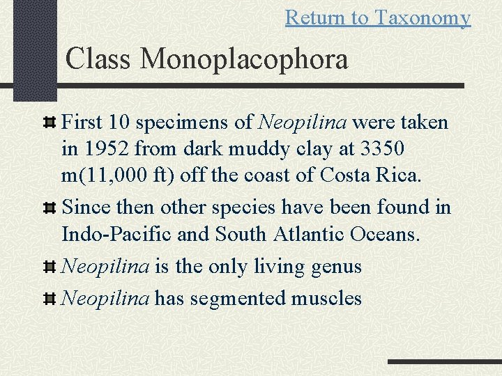Return to Taxonomy Class Monoplacophora First 10 specimens of Neopilina were taken in 1952