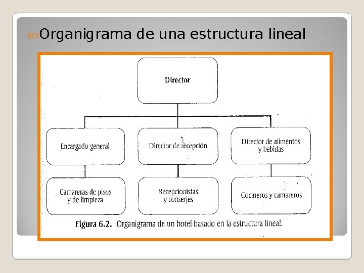  Organigrama de una estructura lineal 