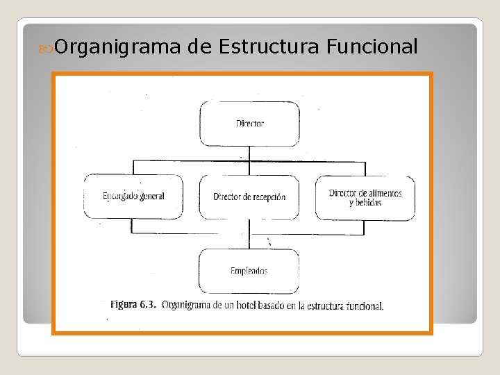  Organigrama de Estructura Funcional 