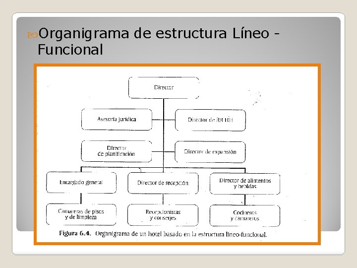  Organigrama Funcional de estructura Líneo - 