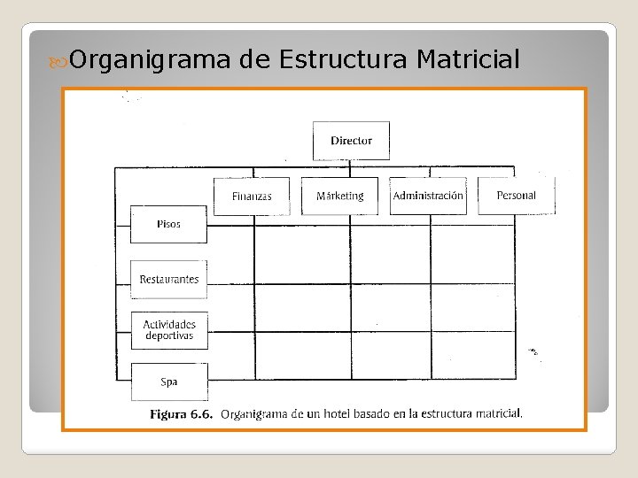  Organigrama de Estructura Matricial 